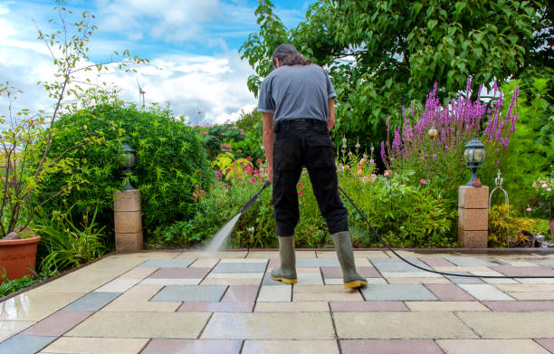 Best Restaurant Pressure Washing  in Ruhenstroth, NV